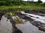 NDPC Sets to Resume Oil Exploration in OginiLand – MD