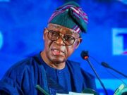 National Shipping Carrier: Beyond Oyetola’s Promises Oyetola Adegboyega