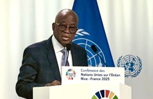 Nigeria Calls for Prompt Ratification of Agreement to Protect Oceans, Increase Funding to Developing Countries
