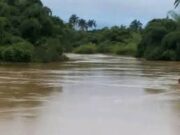 NIWA to Partner Private Investors for Revitalization of Oguta River Port