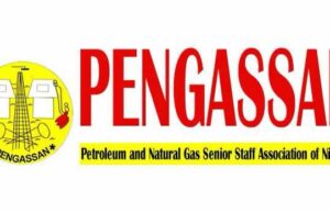 PENGASSAN Strike Grounds Activities at Petroleum Ministry, Agencies