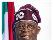 Tinubu Lists 12 Economic Milestones in 2 years 