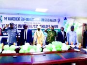 NEPZA Generates N1.8bn in 10 Months