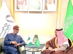 Lithium, Gold Plants Position Nigeria as Africa’s Natural Minerals Hub – Alake