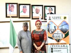 Togo Seeks Increased Electricity Imports from Nigeria