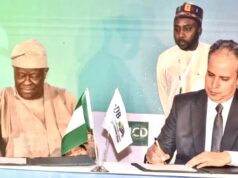 Nigeria Targets 7% GDP Growth, $14bn Annual Infrastructure Investment — Finance Minister