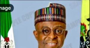 NPA Targets Export Growth with Automation, Infrastructure Renewal of Ports