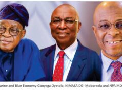 Nigeria’s Return to IMO Council Seat: Now that the Euphoria has Died Down