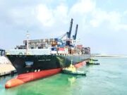 24 Ships Discharge Petroleum Products, Frozen Fish, Other Commodities in Lagos Ports