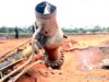 Navy Arrests 3 Suspected Pipeline Vandals in Bayelsa
