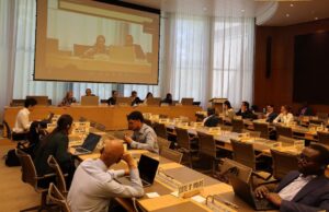 WTO Fish Fund to Support 17 More Countries in Implementing Agreement on Fisheries Subsidies