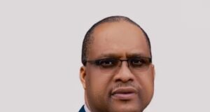 Oilserv Begins Offshore Pipeline Installation for NLNG Gas Transmission Expansion