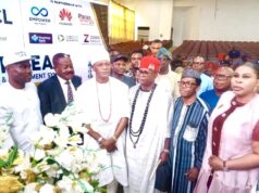 MAN Targets 42.5% Cut in Power Costs for Southeast Manufacturers
