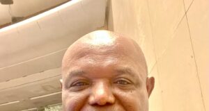 NPERA Act: Expert Calls for Clear Separation of Powers Between Regulator and NPA